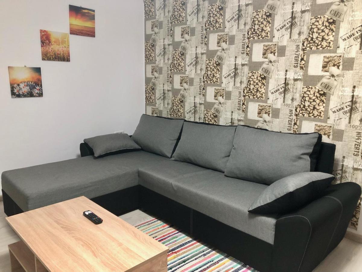 Central Park - Big Apartment - 3 Rooms - Free Parking T5 Тимишоара Екстериор снимка