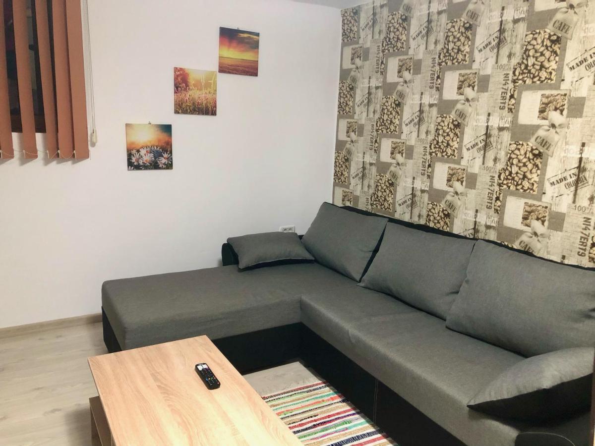 Central Park - Big Apartment - 3 Rooms - Free Parking T5 Тимишоара Екстериор снимка